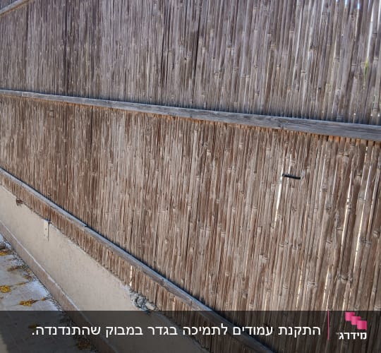 גדר קני במבוק המותקנת על גבי חומת בטון